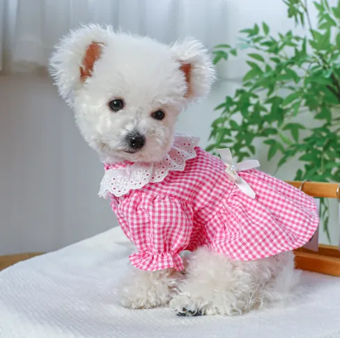 Classic Checkered Charm Dress