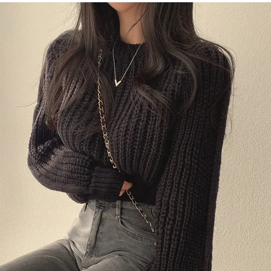 Solid Knit Stylish Crop Sweater