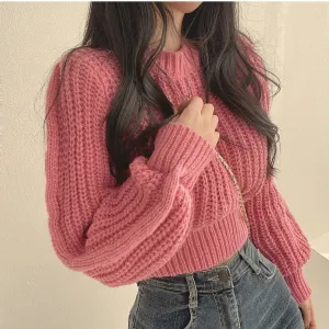 Solid Knit Stylish Crop Sweater